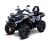 Квадроцикл РМ 800 T